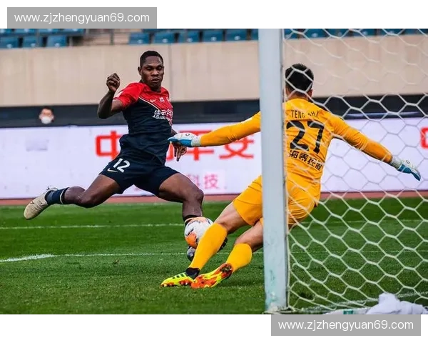 深度解析马里足球联赛现状与未来发展趋势及国际影响力综合研究